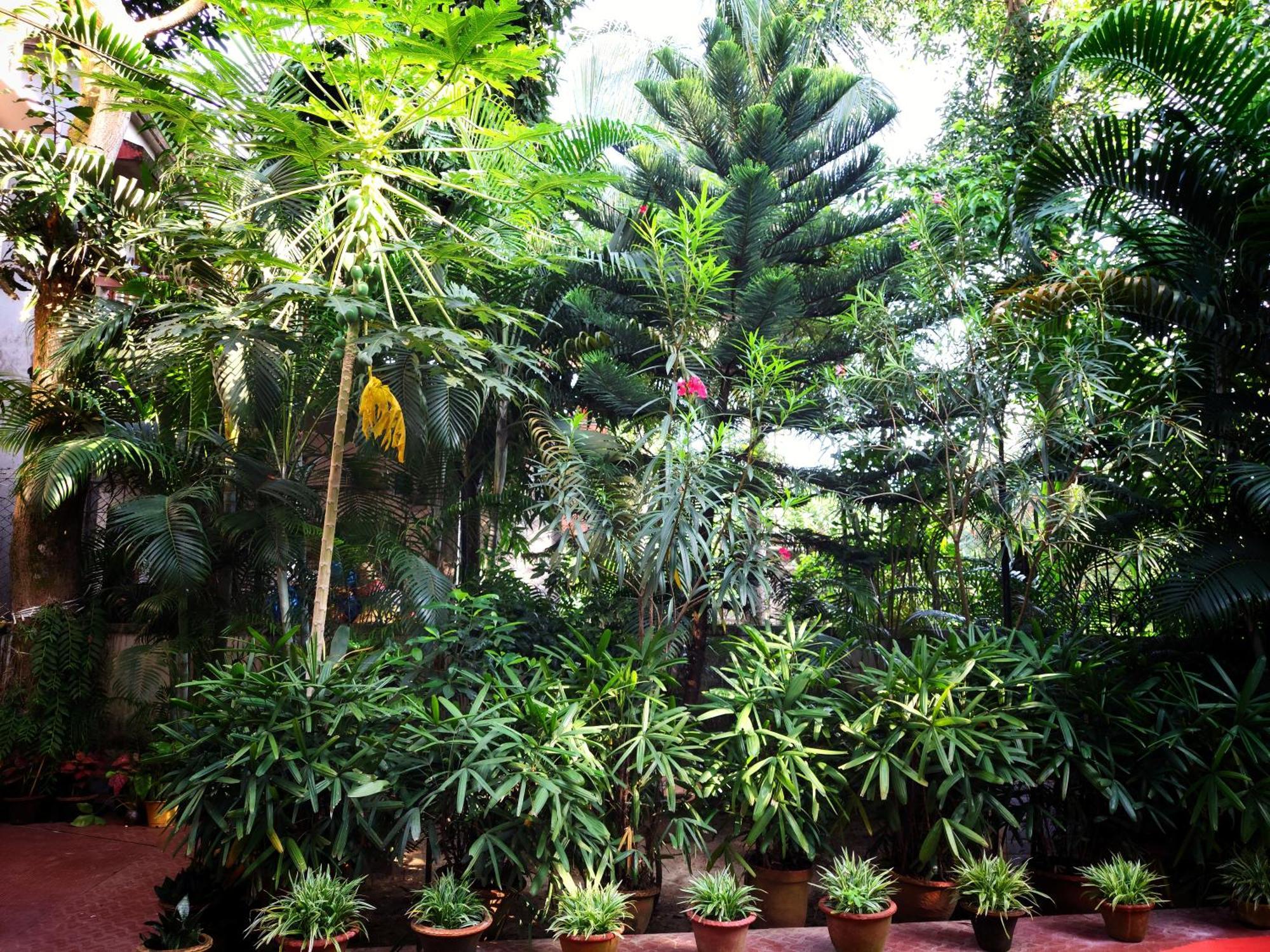 Chaiti Eco Homestay- Santiniketan Bolpur Eksteriør bilde