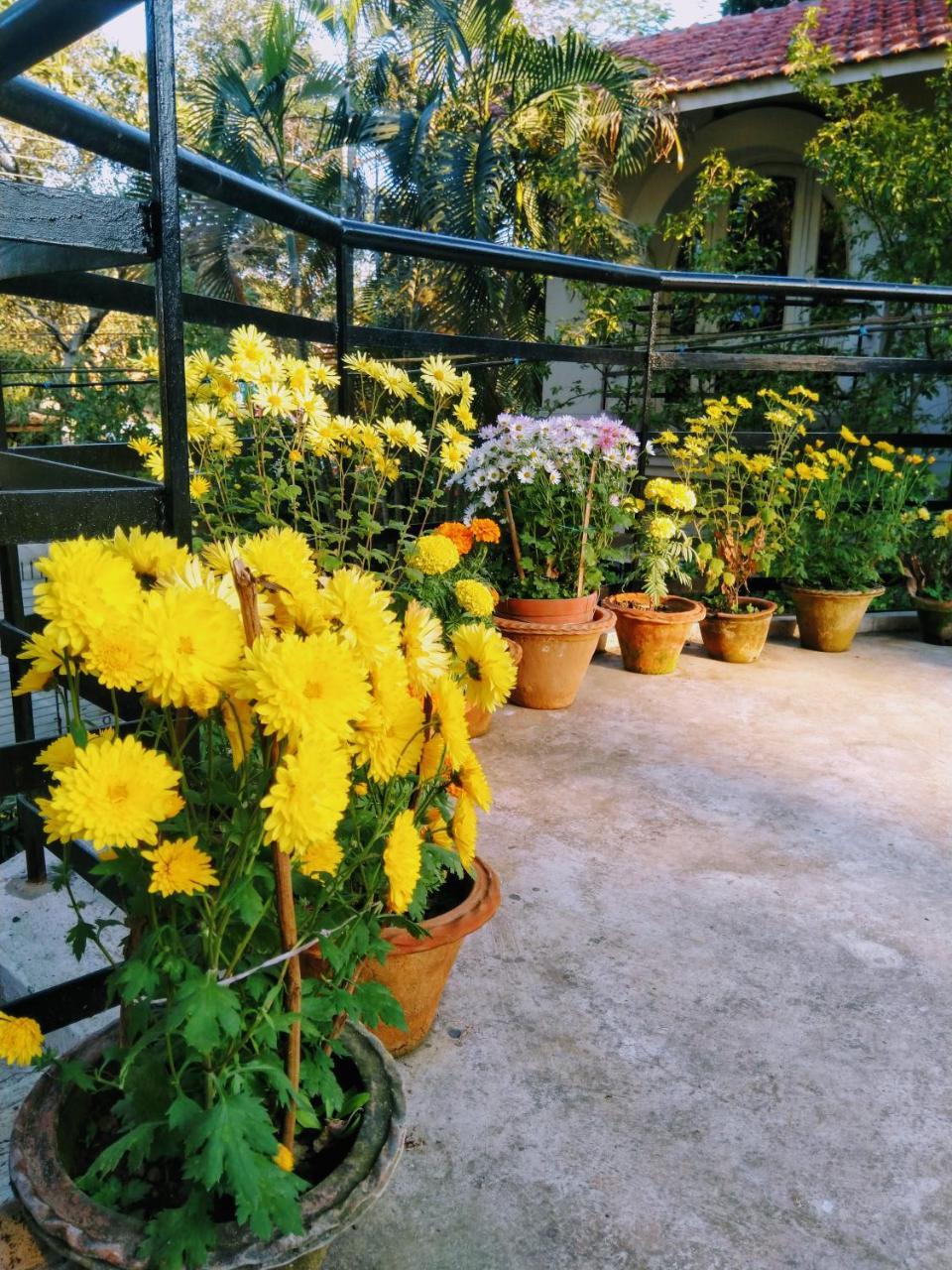 Chaiti Eco Homestay- Santiniketan Bolpur Eksteriør bilde